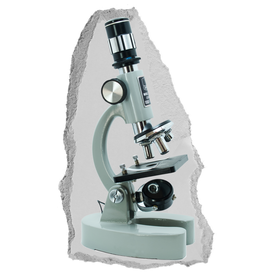 Microscope on torn paper