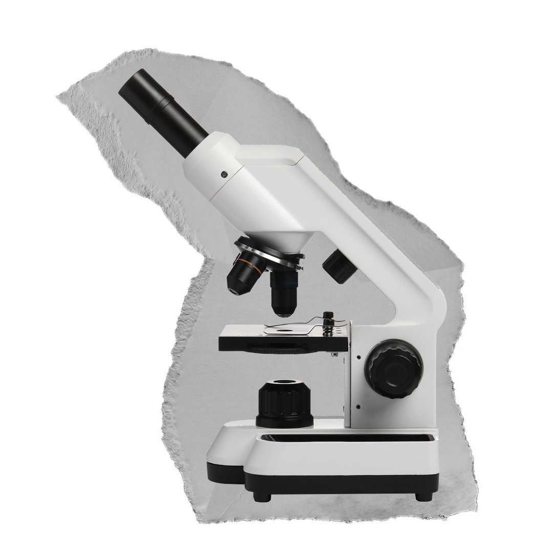 Microscope on torn paper