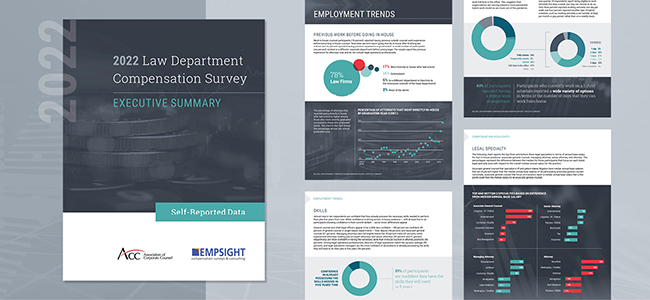series of thumbnails of this survey report
