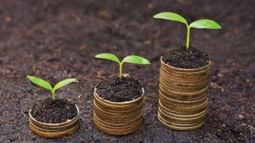 plants growing on stacks of coins