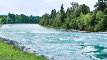 semi-calm river surrounded by trees