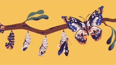 caterpillars transforming into a butterfly