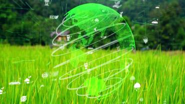 image of an ESG world