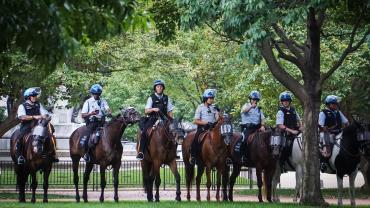 police on horseback in park during Charlottesville, VA, Unite the Right rally, 08/11/17