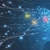 a face is made through a combination of computer images and lit network lines