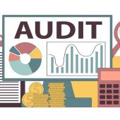 Audit