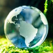 Bluish glass globe on green forest floor.