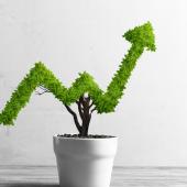 Improving law department productivity 