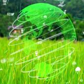 image of an ESG world