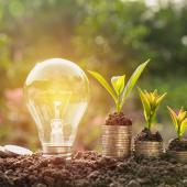 lightbulb with piles of change that have seedings growing out of them next to it, over dirt with green bushes/trees, and flowers in background