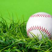 Baseball in grass